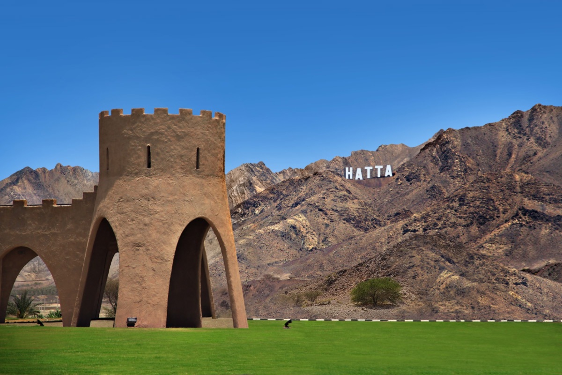Hatta3